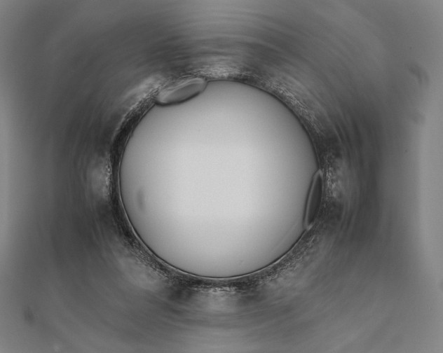 X0000112050304200908181142