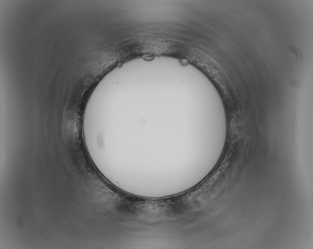 X0000112050305200908181142