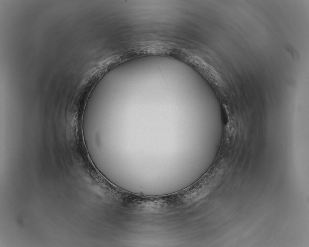 X0000112050306200908181142