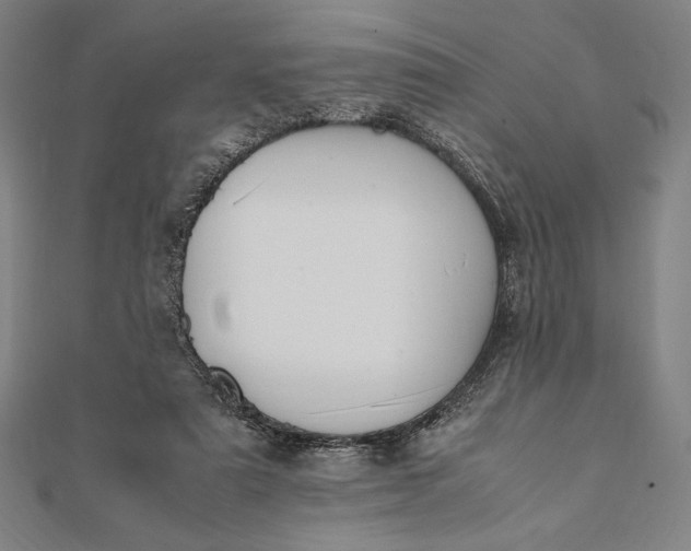 X0000112050307200908181142