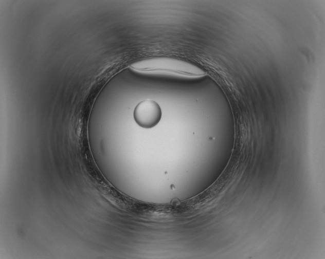 X0000112050308200908181142