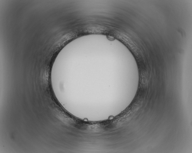 X0000112050309200908181142