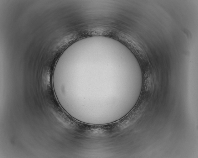 X0000112050310200908181142