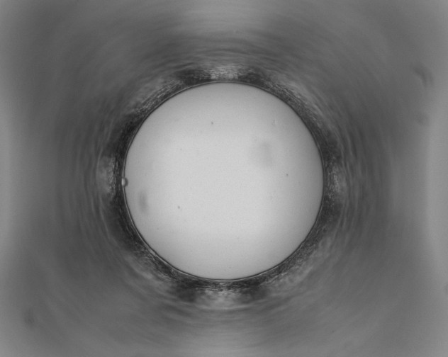 X0000112050311200908181142