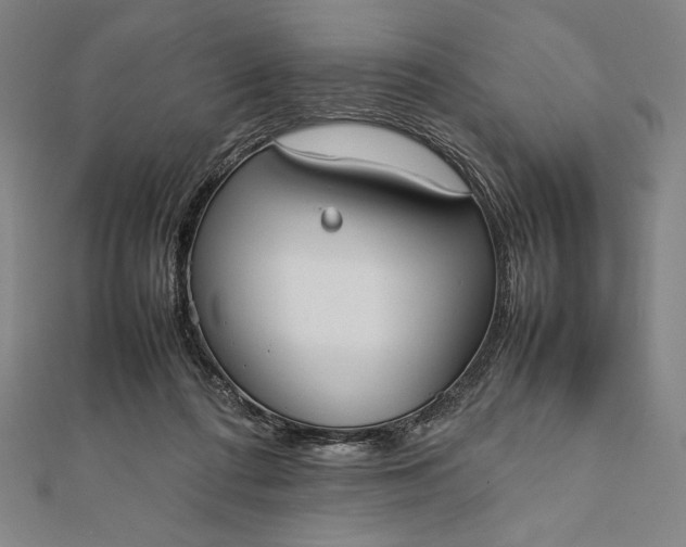 X0000112050312200908181142