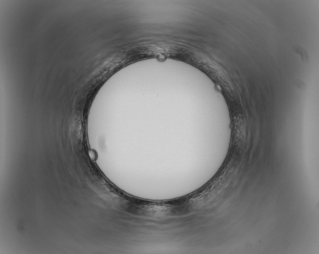 X0000112050313200908181142