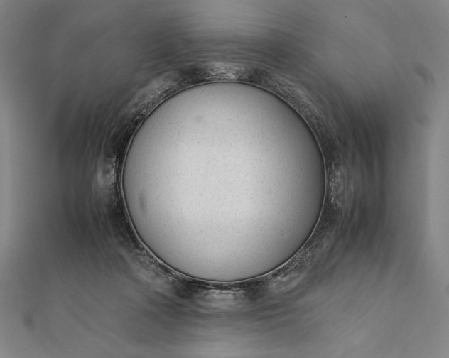 X0000112050314200908181142