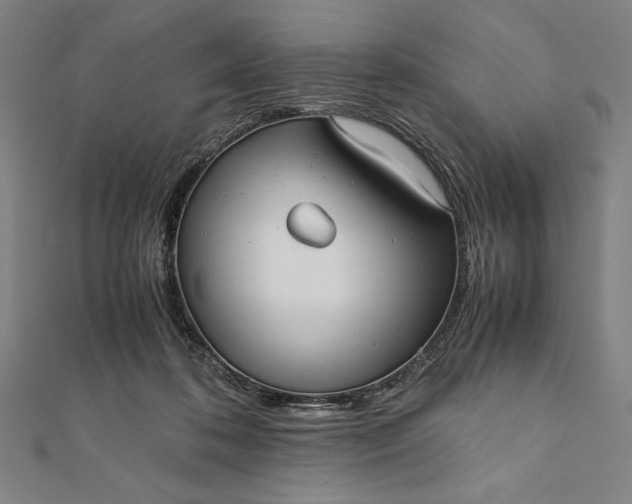 X0000112050316200908181142