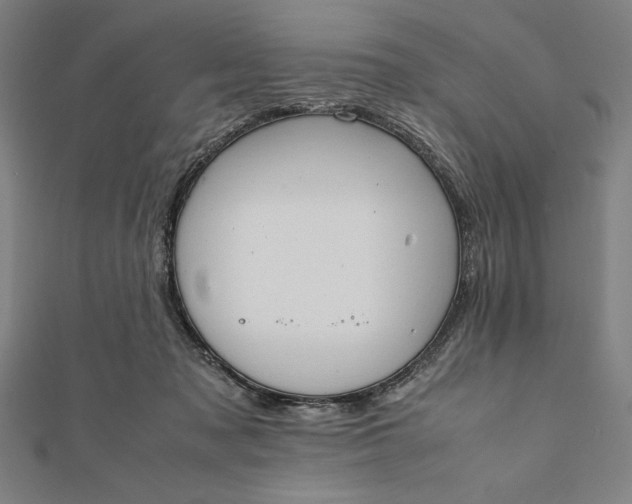 X0000112050317200908181142