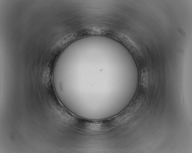 X0000112050318200908181142