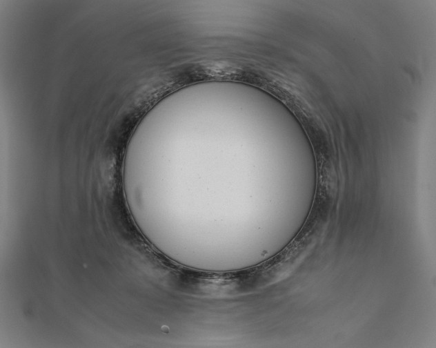 X0000112050319200908181142