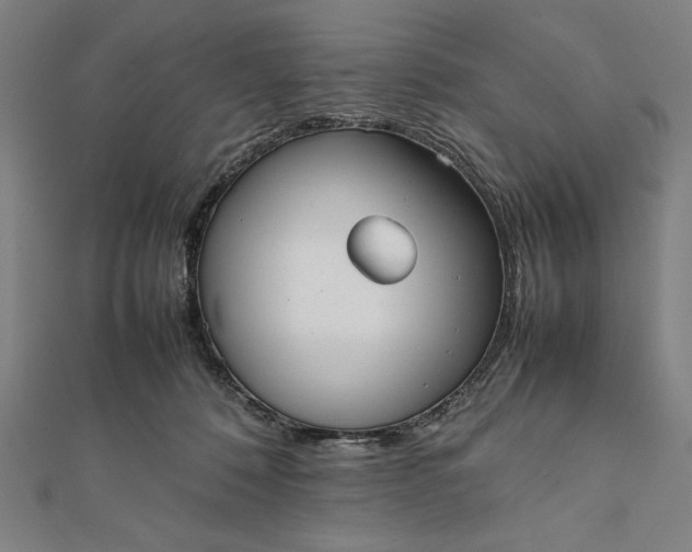 X0000112050320200908181142