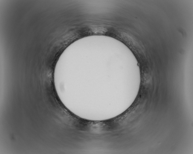 X0000112050321200908181142