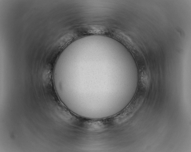 X0000112050322200908181142