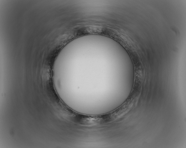 X0000112050323200908181142