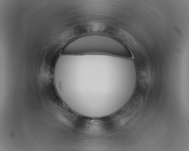 X0000112050324200908181142