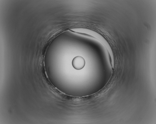 X0000112050325200908181142