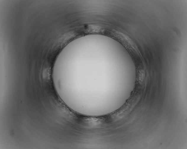 X0000112050326200908181141