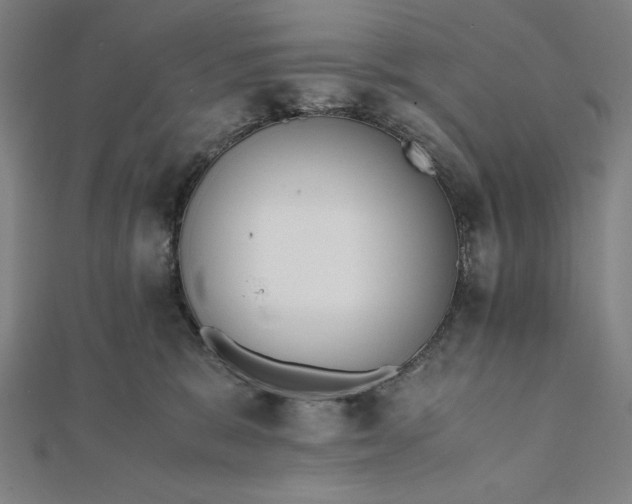 X0000112050327200908181141