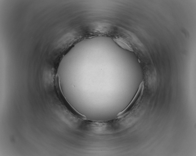 X0000112050328200908181141