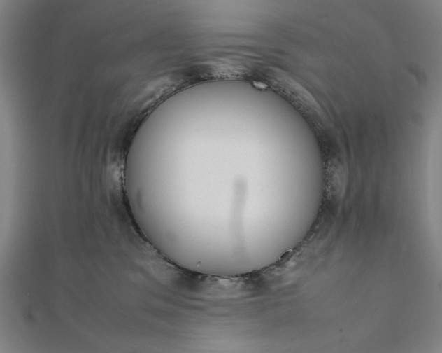 X0000112050329200908181141