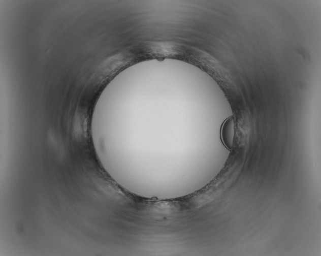 X0000112050330200908181141