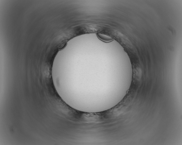 X0000112050331200908181141