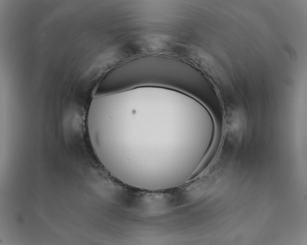 X0000112050332200908181141