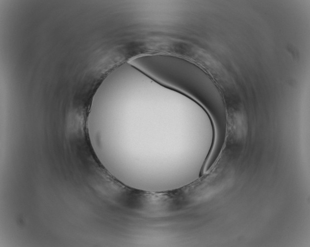 X0000112050333200908181141