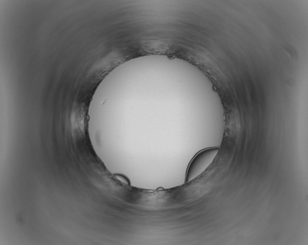 X0000112050334200908181141