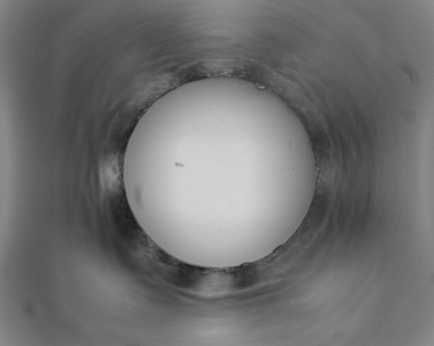 X0000112050335200908181141