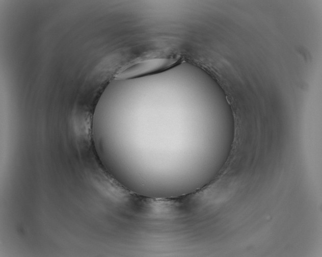 X0000112050336200908181141