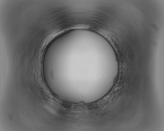 X0000112050337200908181141