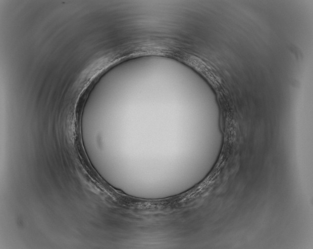 X0000112050338200908181141