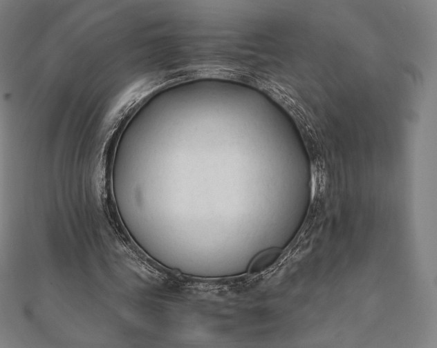 X0000112050339200908181141