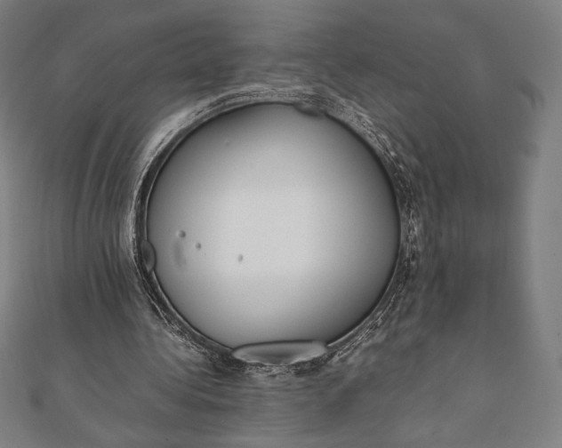 X0000112050340200908181141