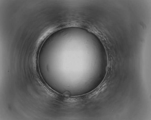 X0000112050341200908181141