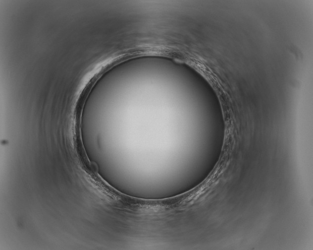 X0000112050342200908181141