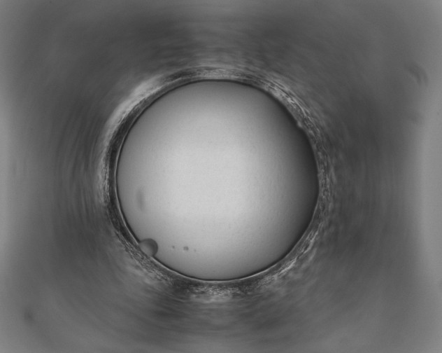 X0000112050343200908181141