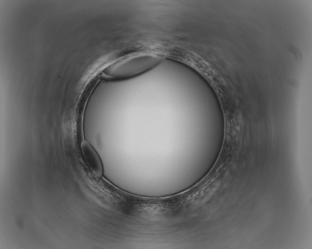 X0000112050344200908181141