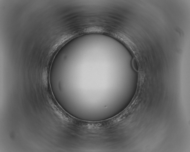 X0000112050345200908181141