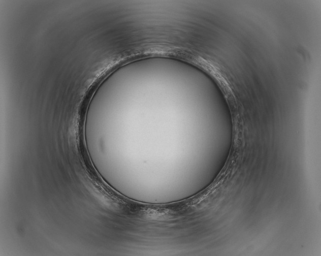 X0000112050346200908181141