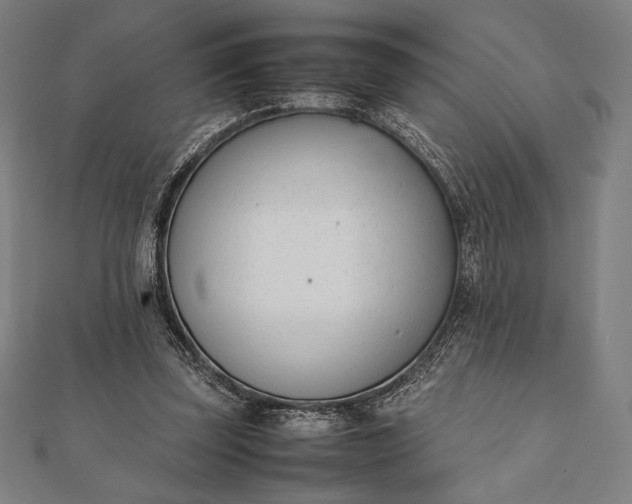 X0000112050347200908181141