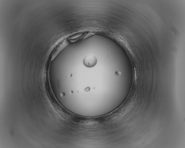 X0000112050348200908181141