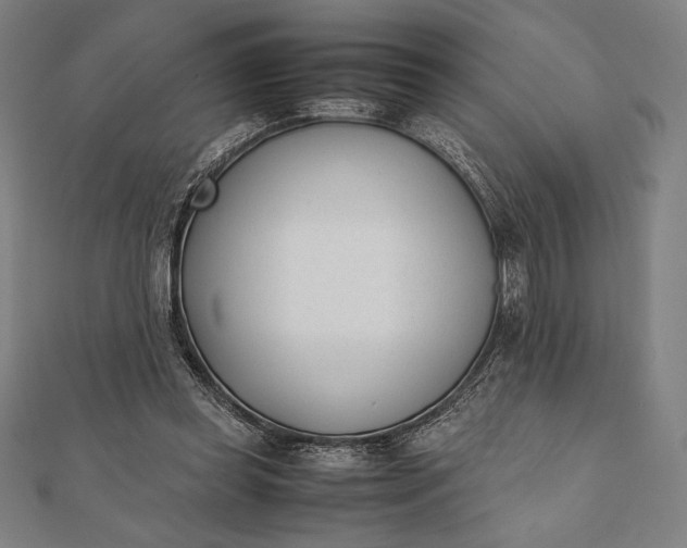 X0000112050349200908181141