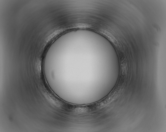 X0000112050350200908181141