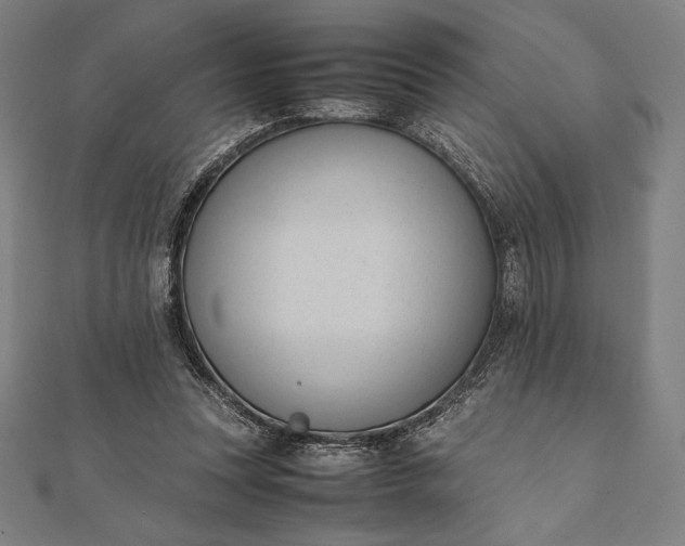 X0000112050351200908181141