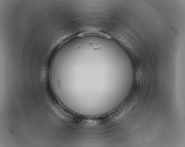 X0000112050352200908181141