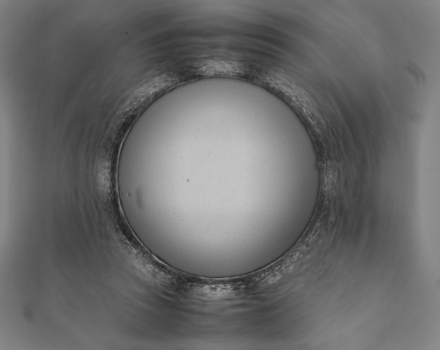 X0000112050353200908181141