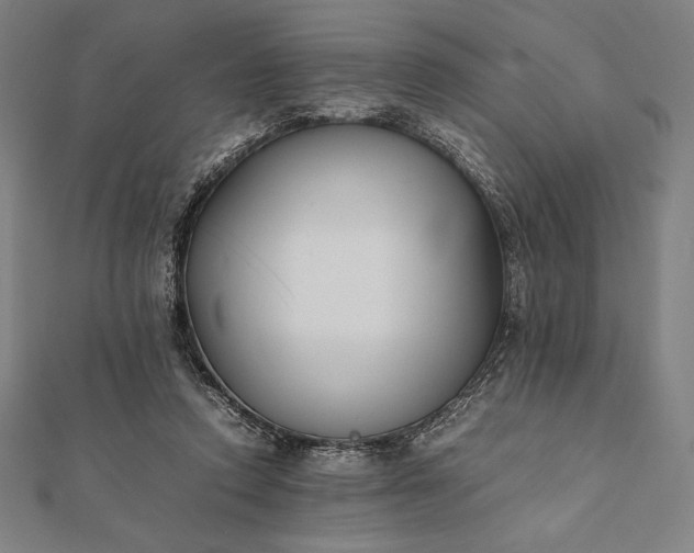 X0000112050354200908181141